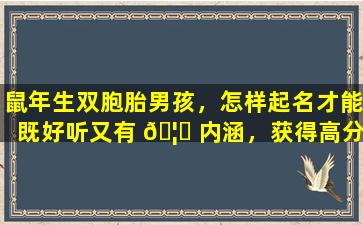 鼠年生双胞胎男孩，怎样起名才能既好听又有 🦄 内涵，获得高分